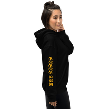 Load image into Gallery viewer, "Hide and seek" pullover hoody