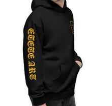 Load image into Gallery viewer, &quot;Hide and seek&quot;  pullover hoody
